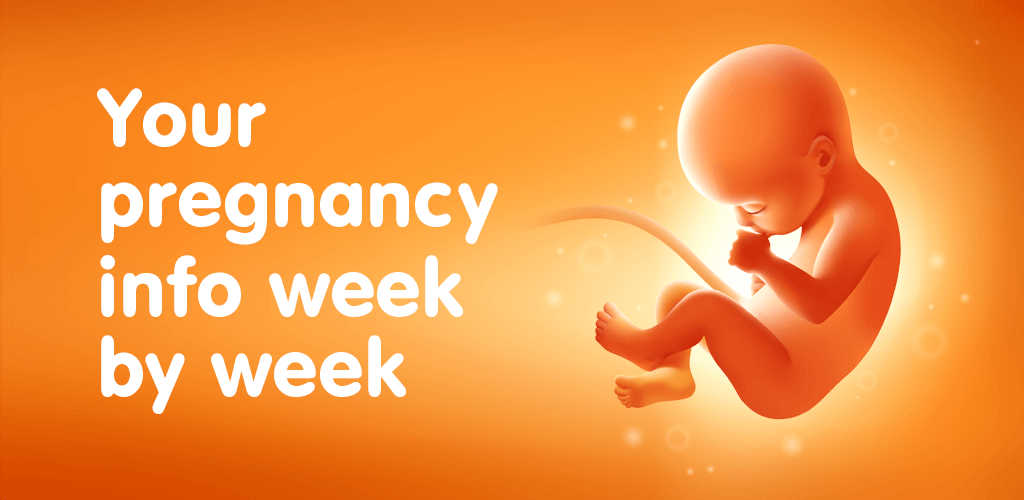 pregnancy tracker week by week 1.jpg
