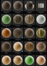 Substance Materials - Wood category (1600+ materials)